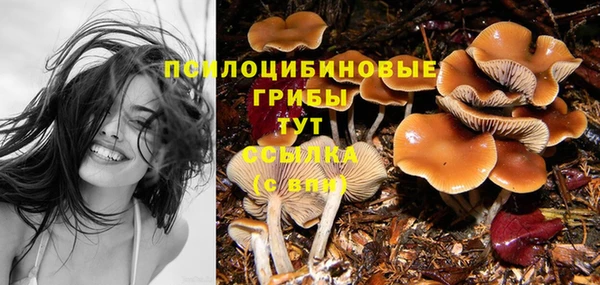 марихуана Дмитриев