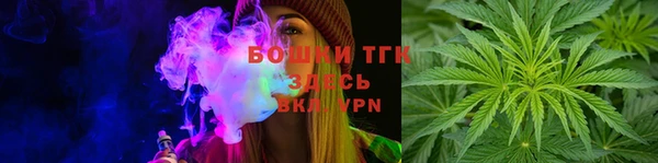 твердый Дмитров