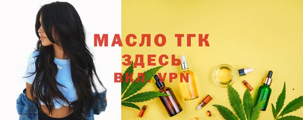 твердый Дмитров