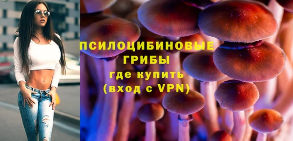твердый Дмитров