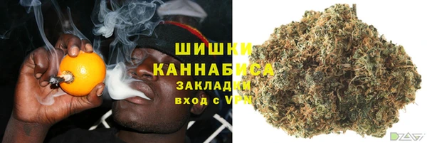 твердый Дмитров