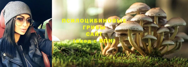твердый Дмитров