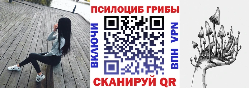Псилоцибиновые грибы Magic Shrooms  ОМГ ОМГ ТОР  Новосиль 